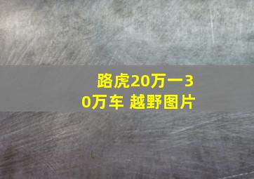 路虎20万一30万车 越野图片